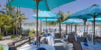 Blue Wave Bar & Grill