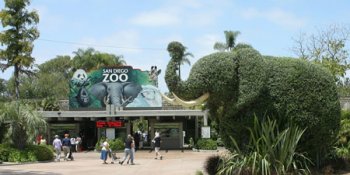 San Diego Zoo